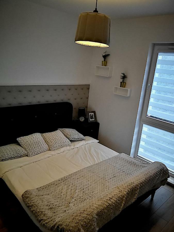 Nova Apartments - Rakowicka Kraków Eksteriør billede