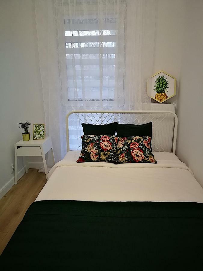 Nova Apartments - Rakowicka Kraków Eksteriør billede