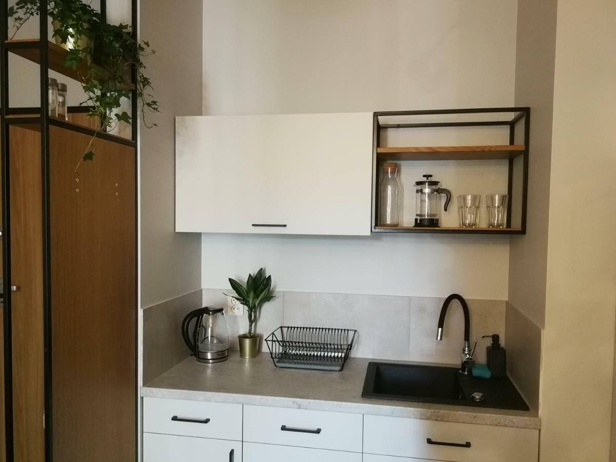 Nova Apartments - Rakowicka Kraków Eksteriør billede
