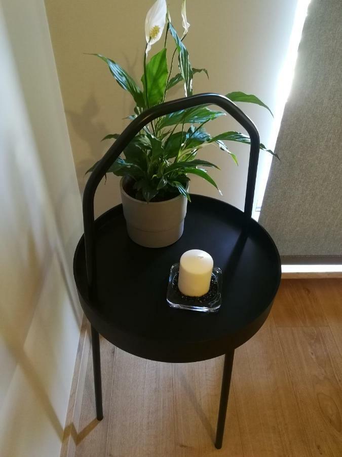 Nova Apartments - Rakowicka Kraków Eksteriør billede